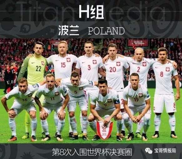 波兰世界杯 波兰世界杯球衣